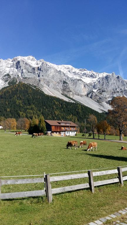 Alpenhaus Birkhahn Hotel Ramsau am Dachstein Luaran gambar